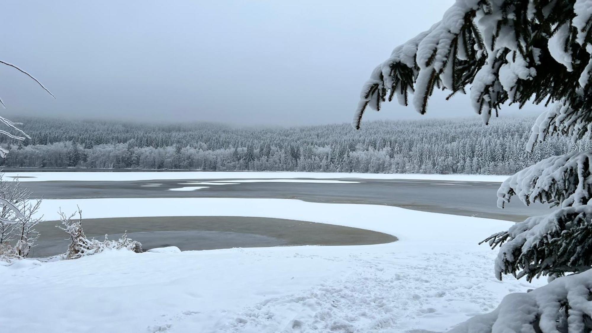 Hauslipno Bungalov Na Lipne Lipno nad Vltavou Buitenkant foto
